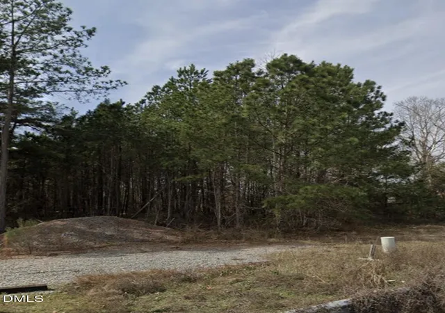 Photo 3 of Land for sale at 0 N Arrington Brg Rd, Goldsboro, NC 27530 | MLS# 10186116 | Listing updated on 2026-08-13