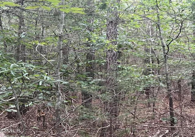 Photo 3 of Land for sale at 0 Highway 49, Mebane, NC 27302 | MLS# 10186187 | Listing updated on 2026-10-08