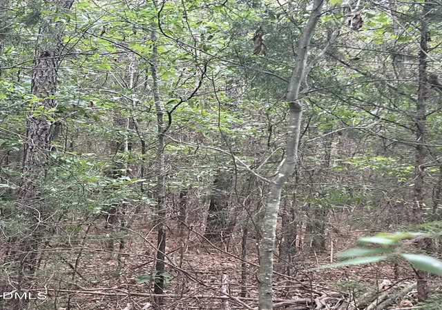 Photo 4 of Land for sale at 0 Highway 49, Mebane, NC 27302 | MLS# 10186187 | Listing updated on 2026-10-08