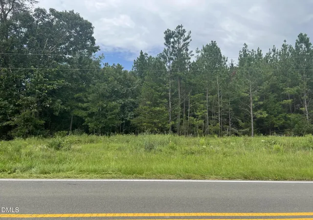 Photo 3 of Land for sale at 0 Highway 49, Mebane, NC 27302 | MLS# 10186187 | Listing updated on 2026-09-09