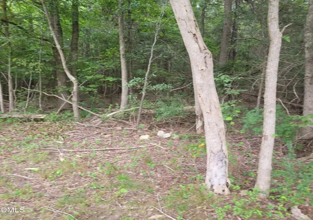 Photo 2 of Land for sale at 0 Highway 49, Mebane, NC 27302 | MLS# 10186187 | Listing updated on 2026-10-08