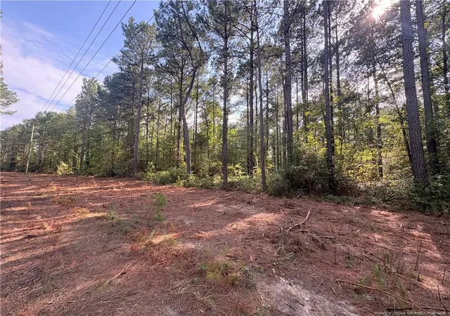 2nd image of S Plank Rd, Sanford, NC 27330 | MLS# 767704