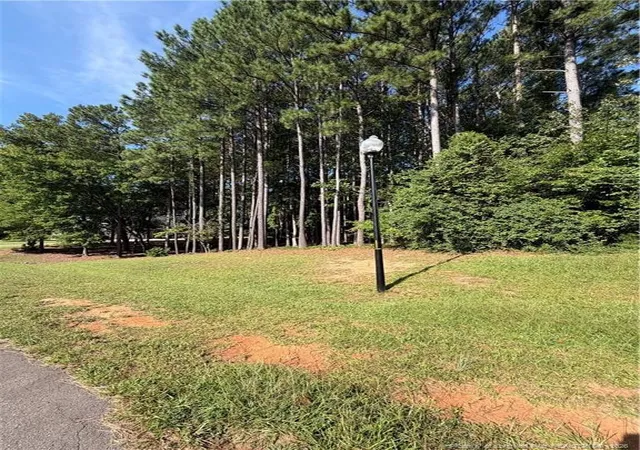 4th image of Tbd Saintsbury Pl, Sanford, NC 27332 | MLS# 767734