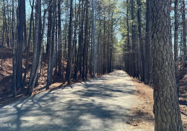 8th image of 9043 Hazy Jade Wy #133, Apex, NC 27523 | MLS# 10186724