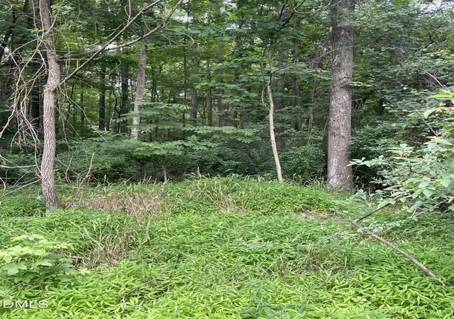 Photo 3 of Land for sale at 00 Pleasant Hl Church Rd, Siler City, NC 27344 | MLS# 10186736 | Listing updated on 2026-08-16