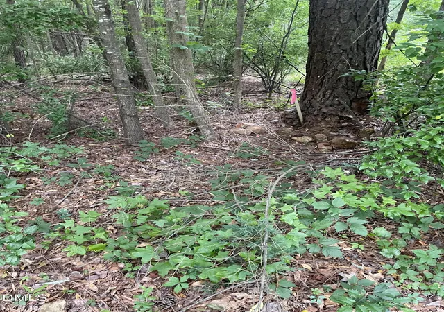Photo 4 of Land for sale at 00 Pleasant Hl Church Rd, Siler City, NC 27344 | MLS# 10186736 | Listing updated on 2026-08-16