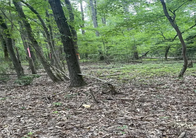 Photo 5 of Land for sale at 00 Pleasant Hl Church Rd, Siler City, NC 27344 | MLS# 10186736 | Listing updated on 2026-08-16