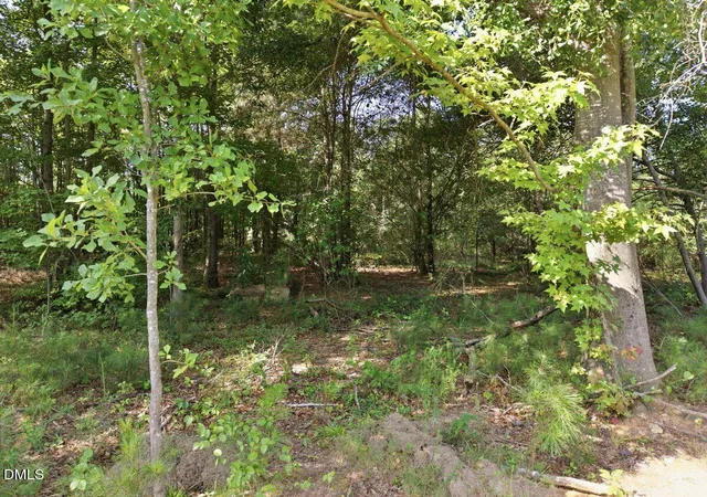 2nd image of 331 Meadow Walk Dr, Fuquay Varina, NC 27526 | MLS# 10186925