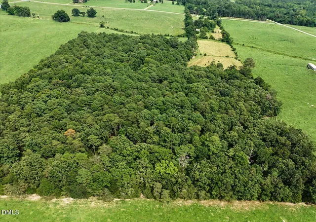 67th image of 147 Carl Johnson Rd, Snow Camp, NC 27349 | MLS# 10187122