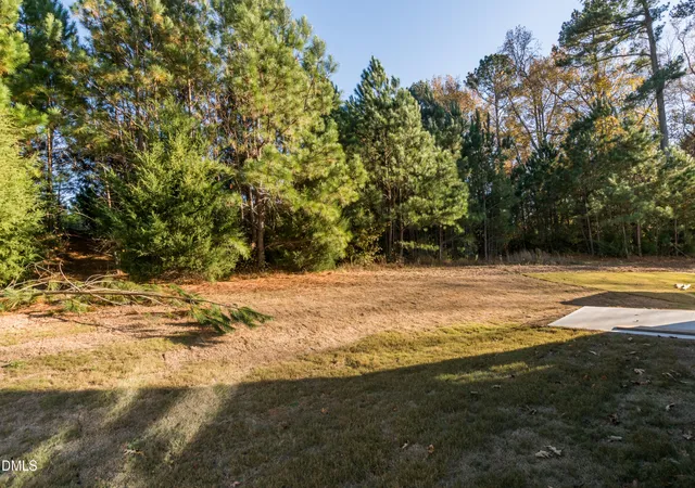 26th image of 254 Starlet Rdg Wy, Clayton, NC 27520 | MLS# 10187396