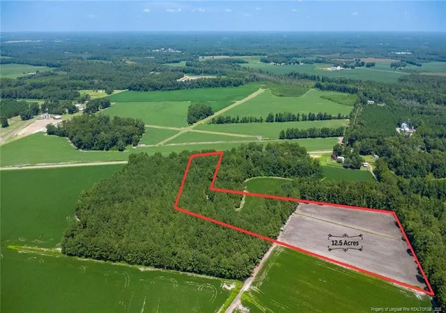 Photo 1 of Land for sale at Tbd Balfour Rd, Lumber Bridge, NC 28357 | MLS# 767920 | Listing updated on 2026-08-25