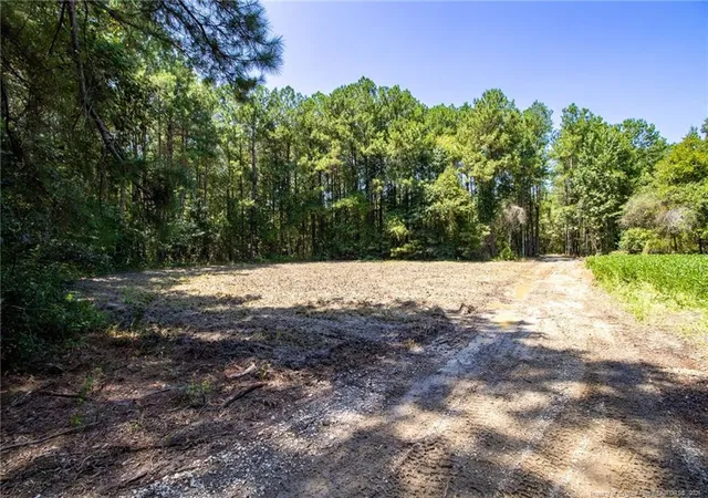 Photo 20 of Land for sale at Tbd Balfour Rd, Lumber Bridge, NC 28357 | MLS# 767920 | Listing updated on 2026-08-25