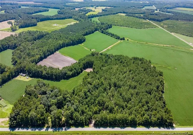 Photo 2 of Land for sale at Tbd Balfour Rd, Lumber Bridge, NC 28357 | MLS# 767920 | Listing updated on 2026-08-25