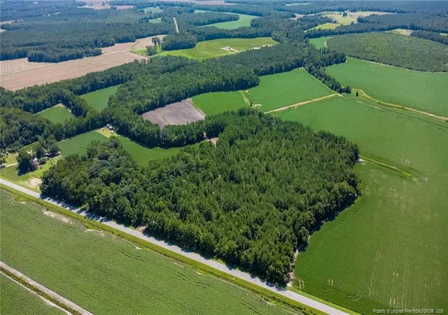 Photo 3 of Land for sale at Tbd Balfour Rd, Lumber Bridge, NC 28357 | MLS# 767920 | Listing updated on 2026-08-25