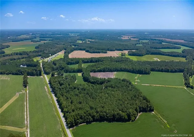 Photo 4 of Land for sale at Tbd Balfour Rd, Lumber Bridge, NC 28357 | MLS# 767920 | Listing updated on 2026-08-25