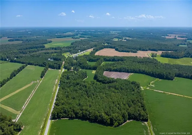 Photo 5 of Land for sale at Tbd Balfour Rd, Lumber Bridge, NC 28357 | MLS# 767920 | Listing updated on 2026-08-25