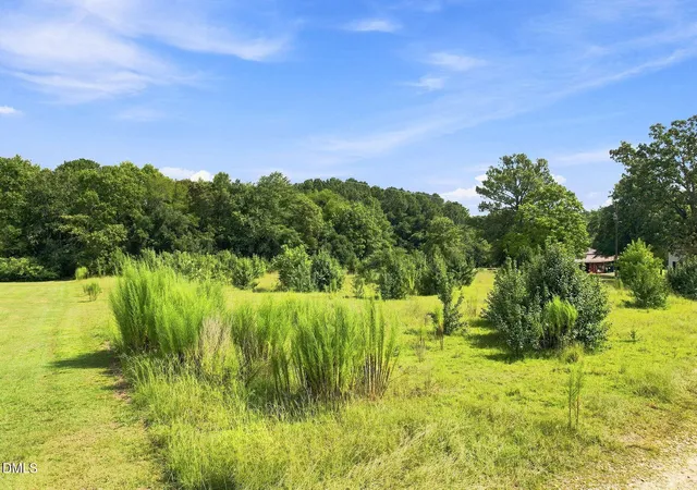 13th image of 0 S Lincoln St, Coats, NC 27521 | MLS# 10187964
