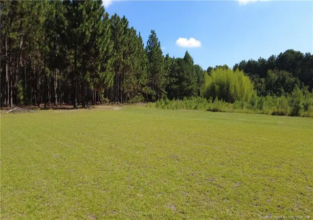 Photo 4 of Single family home for sale at 101 Mcnair Rd, Shannon, NC 28386 | MLS# 768011 | Listing updated on 2026-08-22
