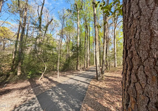 47th image of 198 Eagle Rock Dr, Lillington, NC 27546 | MLS# 10187541
