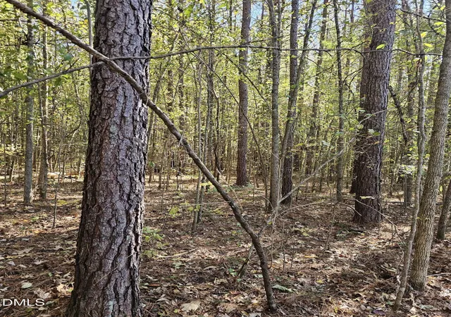 Photo 2 of Land for sale at 850 Clarence Phillips Rd, Bennett, NC 27208 | MLS# 10187620 | Listing updated on 2026-08-20