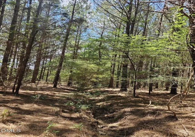 Photo 3 of Land for sale at 850 Clarence Phillips Rd, Bennett, NC 27208 | MLS# 10187620 | Listing updated on 2026-08-20