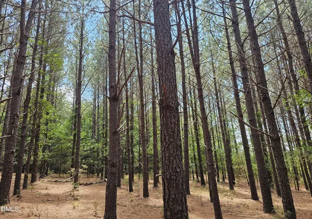 Photo 3 of Land for sale at 850 Clarence Phillips Rd, Bennett, NC 27208 | MLS# 10187620 | Listing updated on 2026-08-20