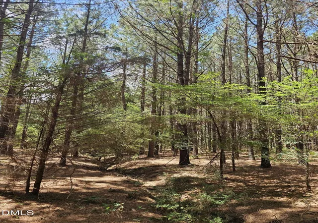 Photo 4 of Land for sale at 850 Clarence Phillips Rd, Bennett, NC 27208 | MLS# 10187620 | Listing updated on 2026-08-20