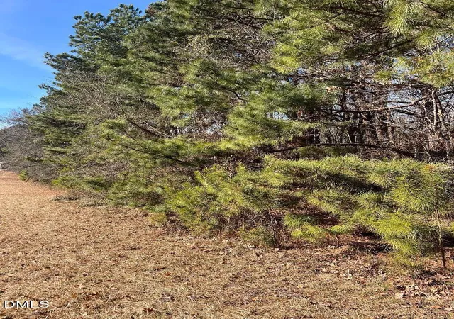 3rd image of 204 Fairhaven St, Apex, NC 27539 | MLS# 10187632