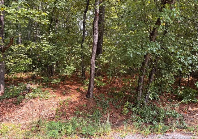 Photo 3 of Land for sale at 668 Chelsea Dr, Sanford, NC 27332 | MLS# 767965 | Listing updated on 2026-09-03