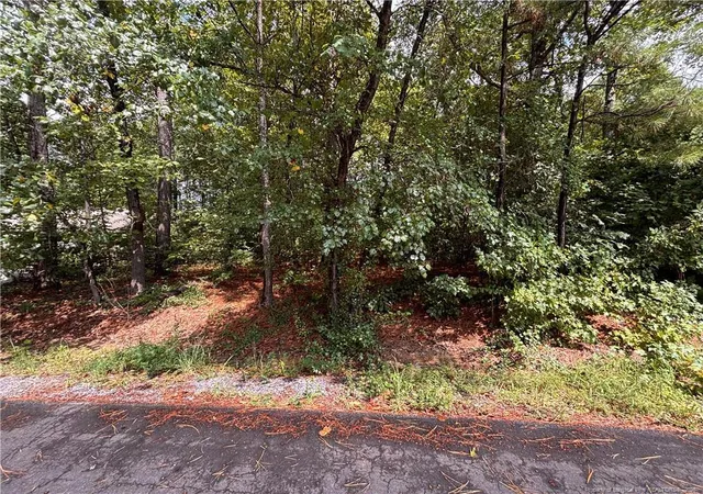 Photo 4 of Land for sale at 668 Chelsea Dr, Sanford, NC 27332 | MLS# 767965 | Listing updated on 2026-09-03