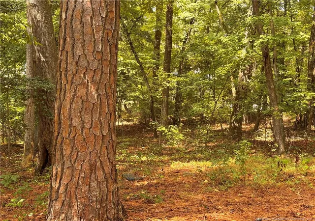 4th image of 1532 Delaware Pl, Sanford, NC 27332 | MLS# 767982