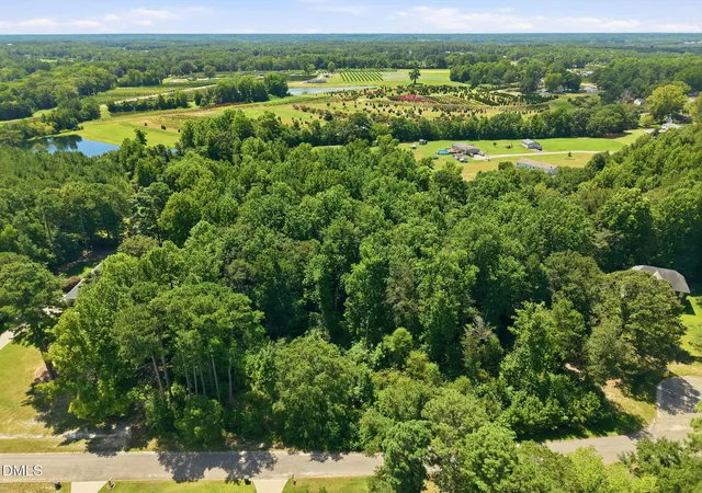 3rd image of 205 Teresa Ct, Angier, NC 27501 | MLS# 10187705