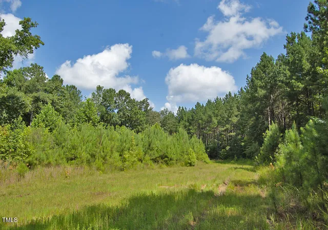 1st image of 0 Buckhorn Road, Bullock, NC 27507 | MLS# 10188037