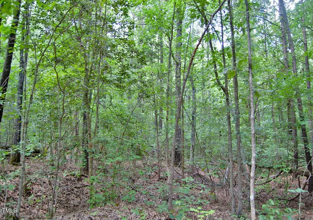 61st image of 0 Buckhorn Road, Bullock, NC 27507 | MLS# 10188037