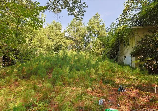 16th image of 121 Buffalo St, Fayetteville, NC 28303 | MLS# 768142