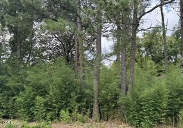 Photo 5 of Land for sale at 1298 Moores Chapel Rd, Lillington, NC 27546 | MLS# 10188364 | Listing updated on 2026-09-01