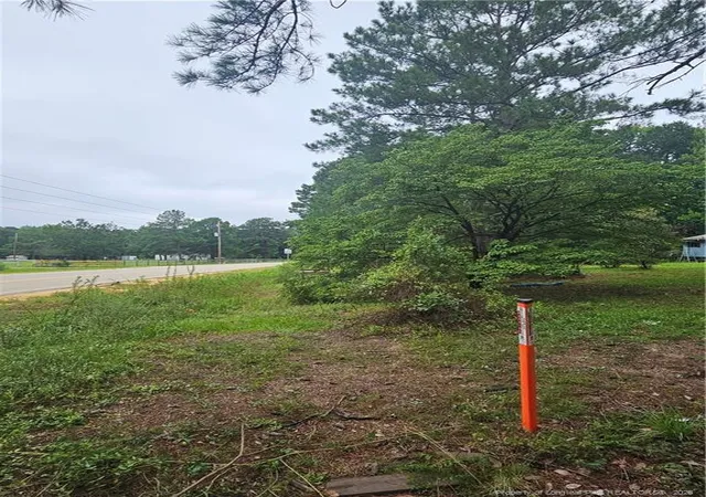 Photo 2 of Land for sale at 23 Southfork Rd, Parkton, NC 28371 | MLS# 768235 | Listing updated on 2026-08-25