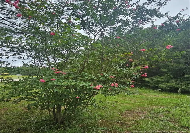 Photo 3 of Land for sale at 23 Southfork Rd, Parkton, NC 28371 | MLS# 768235 | Listing updated on 2026-08-25