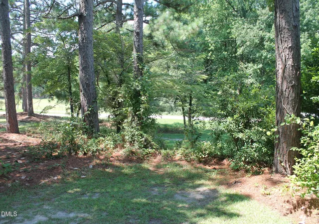Photo 3 of Land for sale at 0 Lakeside Dr, Lillington, NC 27546 | MLS# 10188730 | Listing updated on 2026-08-26