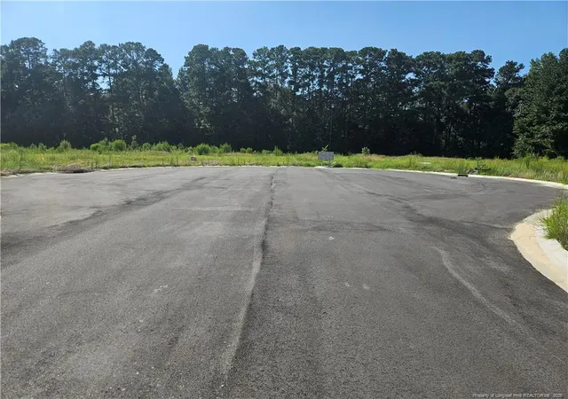 Photo 10 of Land for sale at 131 Britt Rd, St. Pauls, NC 28384 | MLS# 768279 | Listing updated on 2026-08-25