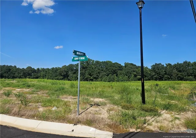 Photo 3 of Land for sale at 131 Britt Rd, St. Pauls, NC 28384 | MLS# 768279 | Listing updated on 2026-08-25