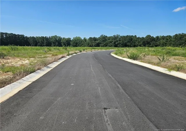 Photo 4 of Land for sale at 131 Britt Rd, St. Pauls, NC 28384 | MLS# 768279 | Listing updated on 2026-08-25