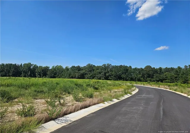 Photo 5 of Land for sale at 131 Britt Rd, St. Pauls, NC 28384 | MLS# 768279 | Listing updated on 2026-08-25