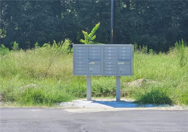 Photo 9 of Land for sale at 131 Britt Rd, St. Pauls, NC 28384 | MLS# 768279 | Listing updated on 2026-10-15