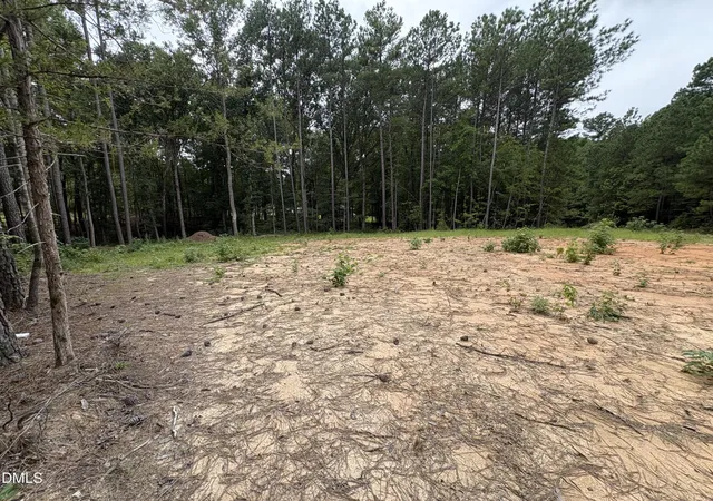 Photo 3 of Land for sale at 206 Rev Lewis Wy, Henderson, NC 27537 | MLS# 10188677 | Listing updated on 2026-10-02