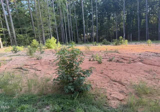 Photo 4 of Land for sale at 206 Rev Lewis Wy, Henderson, NC 27537 | MLS# 10188677 | Listing updated on 2026-10-02