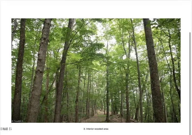 Photo 3 of Land for sale at 0 Hawkins Grove Rd, Mulberry, NC 28649 | MLS# 10188742 | Listing updated on 2026-08-31
