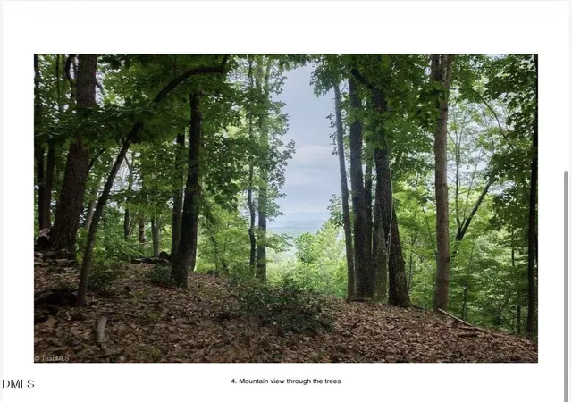 Photo 3 of Land for sale at 0 Hawkins Grove Rd, Mulberry, NC 28649 | MLS# 10188742 | Listing updated on 2026-08-31