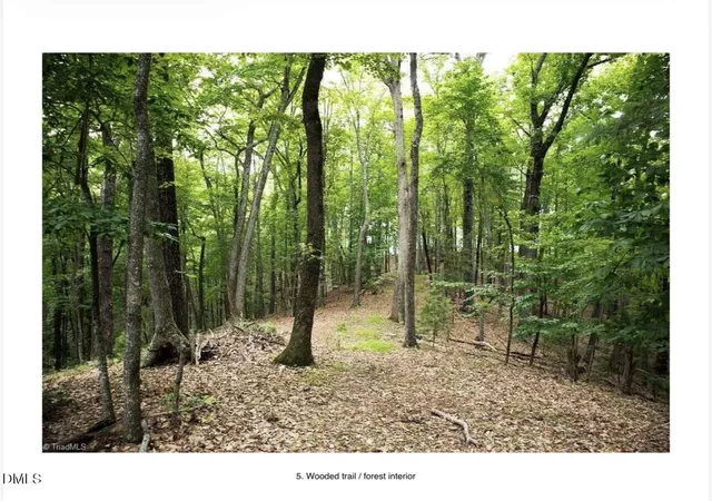 Photo 4 of Land for sale at 0 Hawkins Grove Rd, Mulberry, NC 28649 | MLS# 10188742 | Listing updated on 2026-08-31