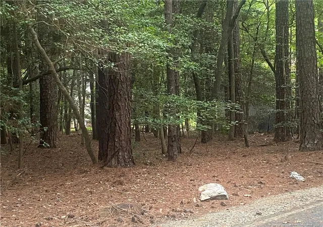 Photo 1 of Land for sale at 3020 Bourbon St, Sanford, NC 27332 | MLS# 768378 | Listing updated on 2026-08-26
